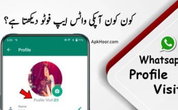 How to Check Who Viewed Your WhatsApp Profile?