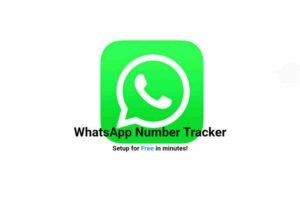 Successful SaaS Company in 2025